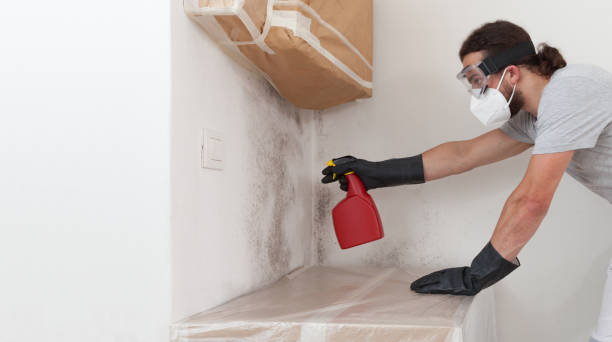 Professional Mold Remediation technician working in Jefferson, NC