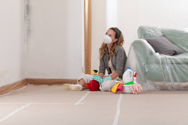 Reliable Mold Remediation contractor in Jefferson, NC by 24 Hour Mold Removal